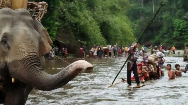 တနိုင်းစစ်