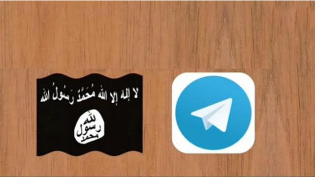 هجرة جماعية لأنصار تنظيم الدولة من تلغرام إلى تام تام