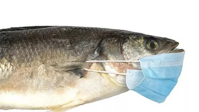 සමාජ මාද්‍යයේ සංසරණය වන චායාරුපයක්