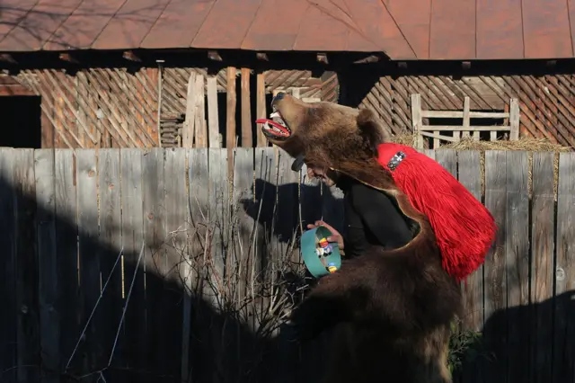 Sledećeg dana, centar zbivanja je Darmanešti, gradić nedaleko od Komaneštija. Kako je reč mestu sa izraženom lokalnom tradicijom redosled događanja je drugačiji: rano ujutru meštani prerušeni u medvede počinju višečasovni obilazak naselja.