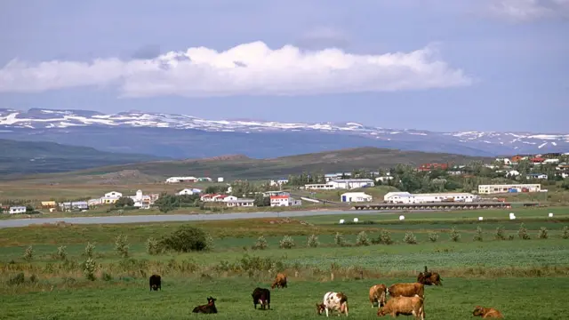 Aldeia da Islândia com vacaspixnet apostaprimeiro plano