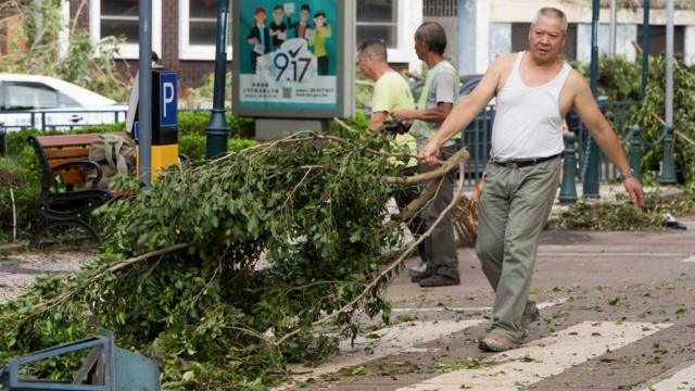 澳门街头一名老人自发清理被台风吹倒的树干（25/8/2017）
