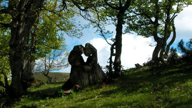 Foto de un lector de BBC Mundo por el tema "Bosques"