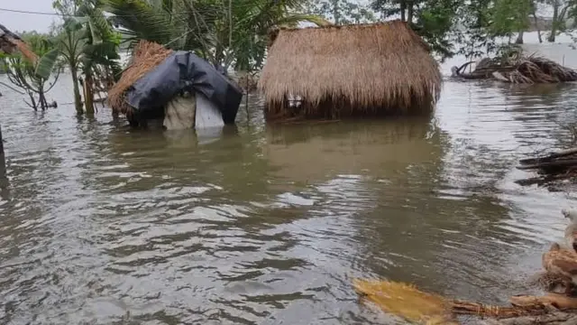 উপকূলের জলমগ্ন বসত ভিটে।