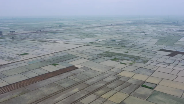 petani perubahan iklim