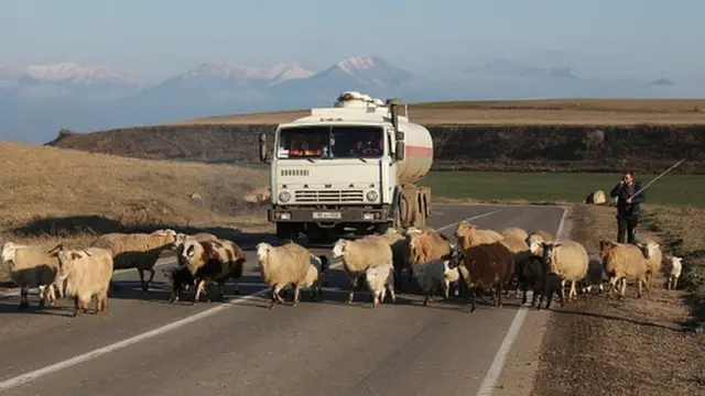 Бараны-нарушители