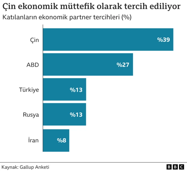 Gallup anketi 