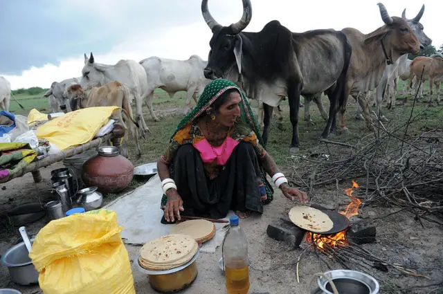 અદાણી, ગૌચર, ગુજરાત સરકાર, કચ્છ