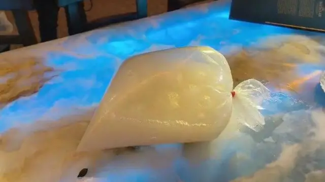 మొయినాబాద్, ఫామ్ హౌస్, డ్రగ్స్, రోహిత్ రెడ్డి, బీఆర్ఎస్, కాల్పులు, పుట్టా మహేశ్, కేటీఆర్