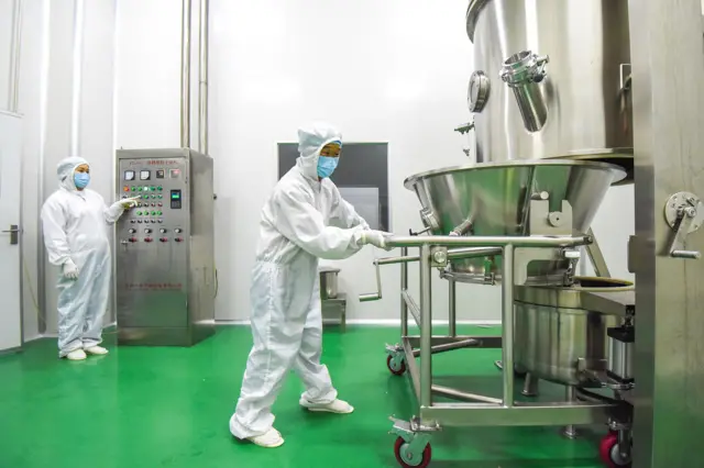 Trabalhadores produzem peptídeos bioativos em um fábrica da Hubei Reborn Biotech Co., Ltd. em 17 de novembro de 2020 em Jingzhou, na província chinesa de Hubei