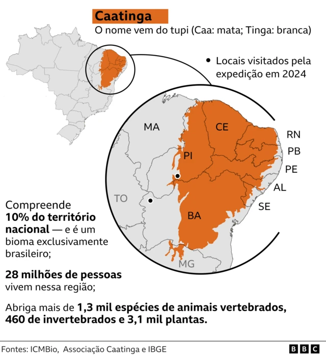 Card Caatinga