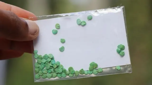 બિયારણ ખરીદતી વખતે કઈ બાબતો ધ્યાનમાં રાખવી?