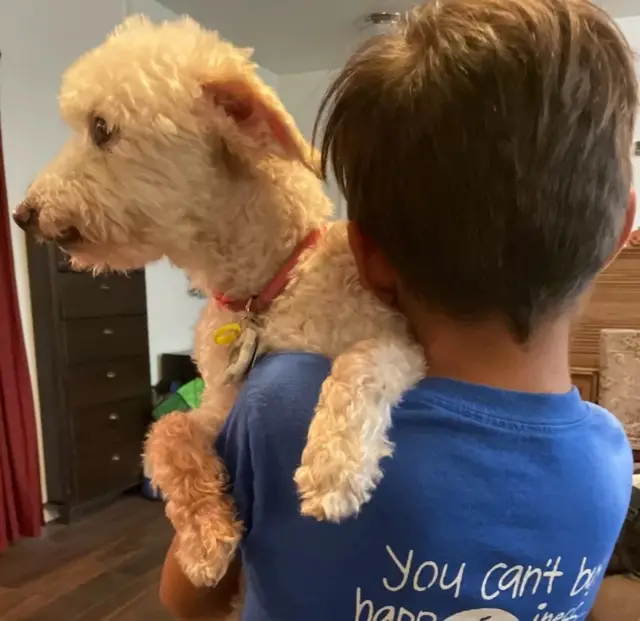 Un petit garçon avec son chien