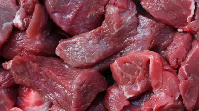 Anụ ọbara ọbara