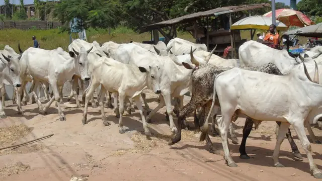Rikicin makiyaya da manoma