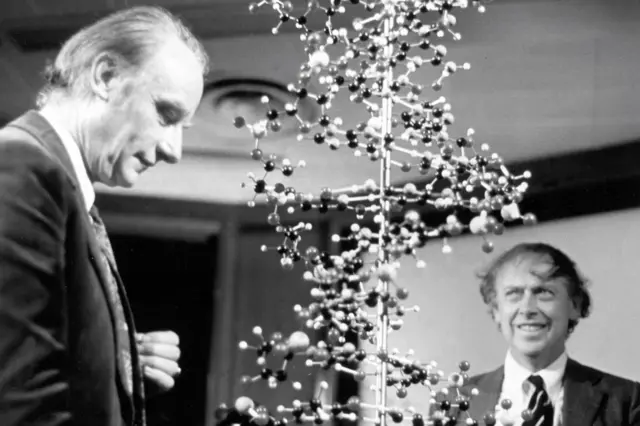 Фрэнсис Крик и Джеймс Уотсон (на фото он — справа) около своей модели ДНК. Кадр из программы Би-би-си, вышедшей в эфир в 1974 году