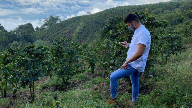 Ángel García, l'un des gérants du domaine de Santa Isabel, surplombe une pente recouverte de caféiers le 20 novembre. La ferme compte 900 000 plantes.
