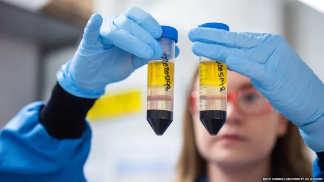 ਆਕਸਫੋਰਡ ਵੈਕਸੀਨ, ਇੰਨੀ ਜਲਦੀ ਕਿਵੇਂ ਤਿਆਰ ਹੋਈ?