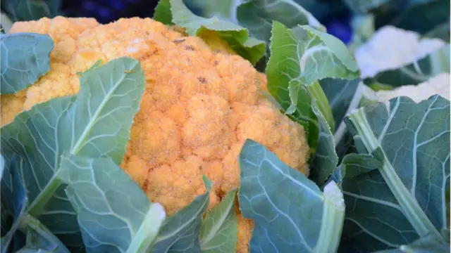 কমলা ফুলকপি