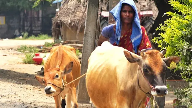 என்.எல்.சி நிலம் கையகப்படுத்தும் விவகாரம்