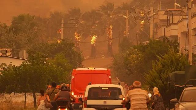 Seferihisar-İzmir'deki orman yangını, 29 Haziran.