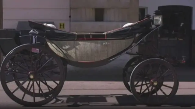 शाही शादी