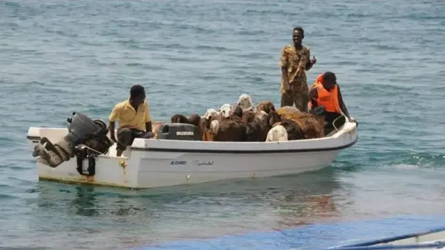 Aworan ọkọ oju omi