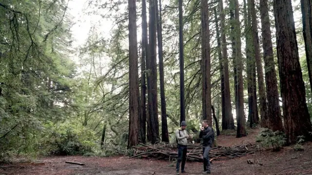 بعض رواد الأعمال يتعاطون كميات قليلة من عقاقير الهلوسة تأثرًا بالشخصيات الملهمة مثل ستيف جوبز، الذي عرف بأنه كان يتعاطى عقاقير الهلوسة