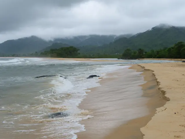 Пляж Сьєрра-Леоне