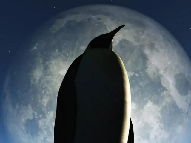 આ સૂર્યગ્રહણ પૂર્ણ ગ્રહણના રૂપમાં માત્ર અંટાર્કટિકામાં દેખાશે.