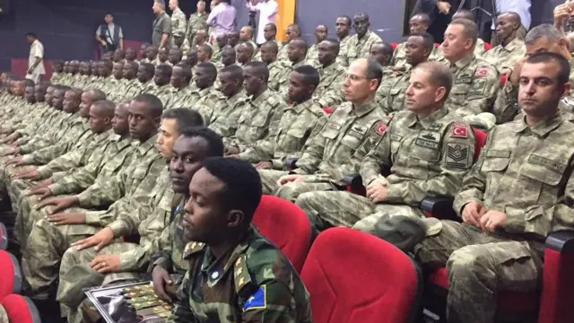 Chiroyli qiz egilib, mushuki korindi Chiroyli qiz egilib, mushuki korindi