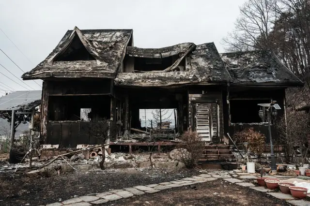 दक्षिण कोरियात वणव्याचा हाहाकार