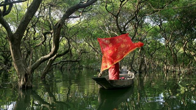 সিলেটের রাতারগুলে প্রকৃতির সৌন্দর্যে একজন নারী।