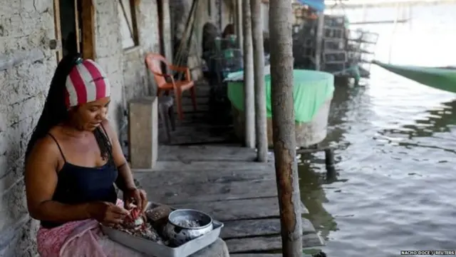 ਬ੍ਰਾਜ਼ੀਲ ਵਿੱਚ ਮੱਛੀ ਤੇ ਕੇਕੜੇ ਫੜਣਾ ਕਿਉਂ ਹੈ ਖ਼ਾਸ