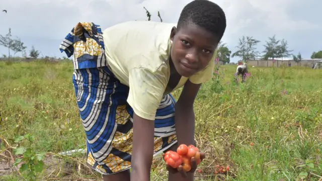 Little girl in a farm