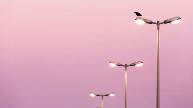 स्ट्रीट लाइट्स