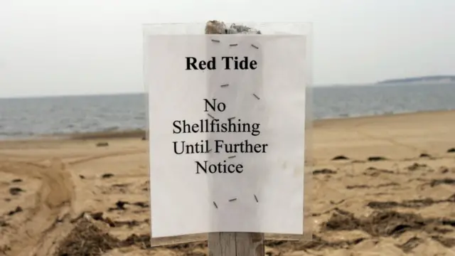 Alerta de marea roja