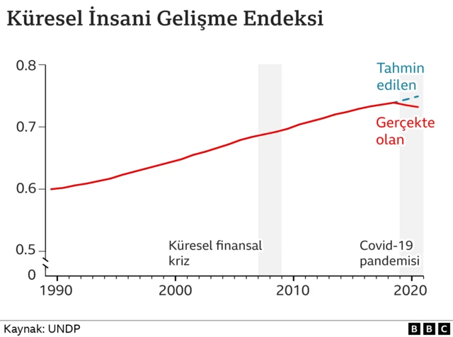 insani gelişim endeksi