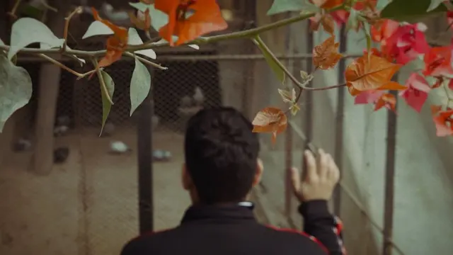 احمدی برادری