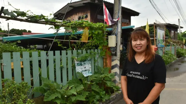 ปลูกผัก