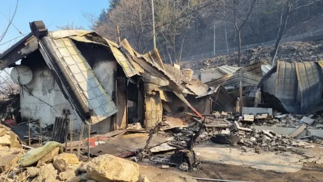 5일 강릉 옥계산불 최초 발화지점 추정 주택