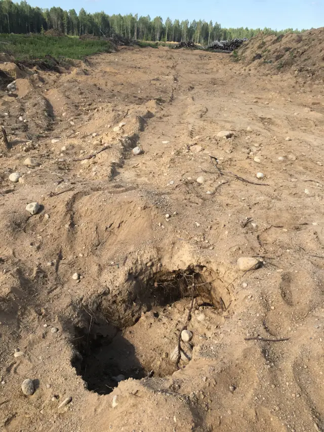 Раскопки в карьере в Ленинградской области