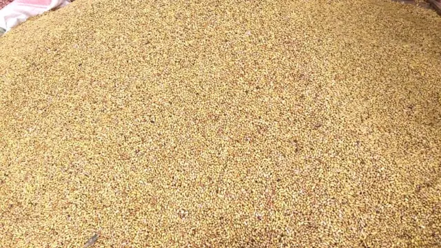 N'ibiharage, bisanzwe biri mu vyo Abarundi bafungura buri munsi, vyaragabanutse igiciro