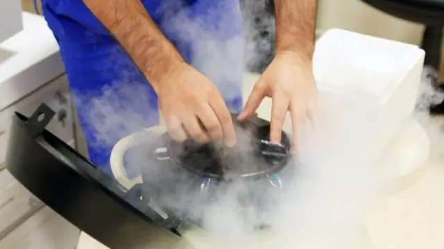 冻卵，英国，女性，生育，