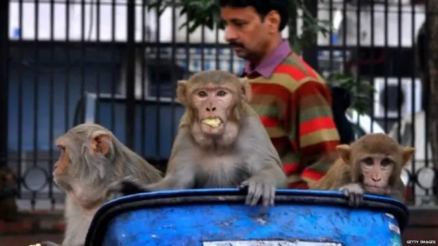 कोरोना वायरस के बारे में जानकारी