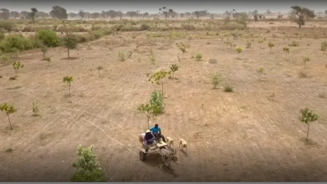 বিশাল খামার বাড়ির একাংশ