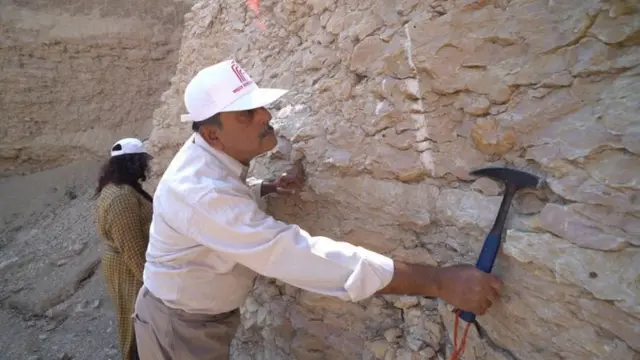 જીવાશ્મની શોધમાં લાગેલા ભૂવૈજ્ઞાનિક