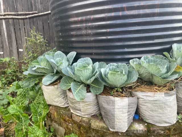 Ahantu uko haba hato kose bahakura umusaruro