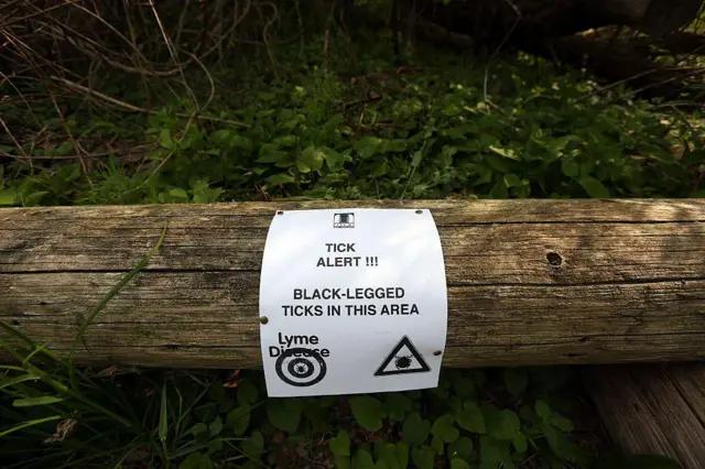 हवामान बदलामुळे गोचिडींचा प्रादुर्भाव वाढतो आहे. 