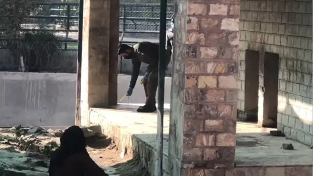 पाकिस्तान वाघ प्राणीसंग्रहालय माणसाला मारलं तोंडात बूट